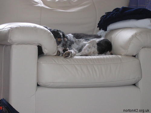 zzzzz...