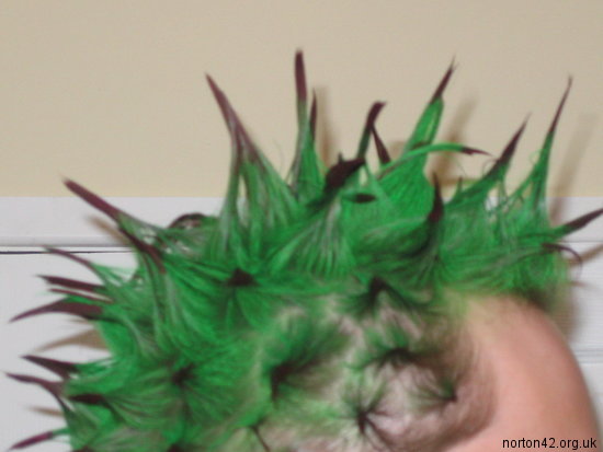 Close up of hair