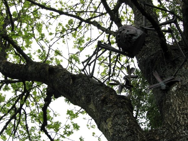 Thing in tree number 3