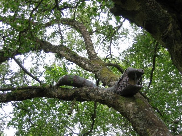 Thing in tree number 5